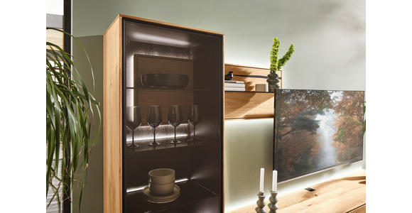 WOHNWAND  in Schwarz, Eichefarben  320/192/50 cm  LED-COB-Leuchtmittel, Dekoleuchtmittel   - Eichefarben/Schwarz, Natur, Glas/Holz (320/192/50cm) - Waldwelt