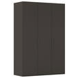 DREHTÜRENSCHRANK 151/223/61 cm,  in Graphitfarben, 3-türig  - Graphitfarben, Basics, Holzwerkstoff/Metall (151/223/61cm) - Novel