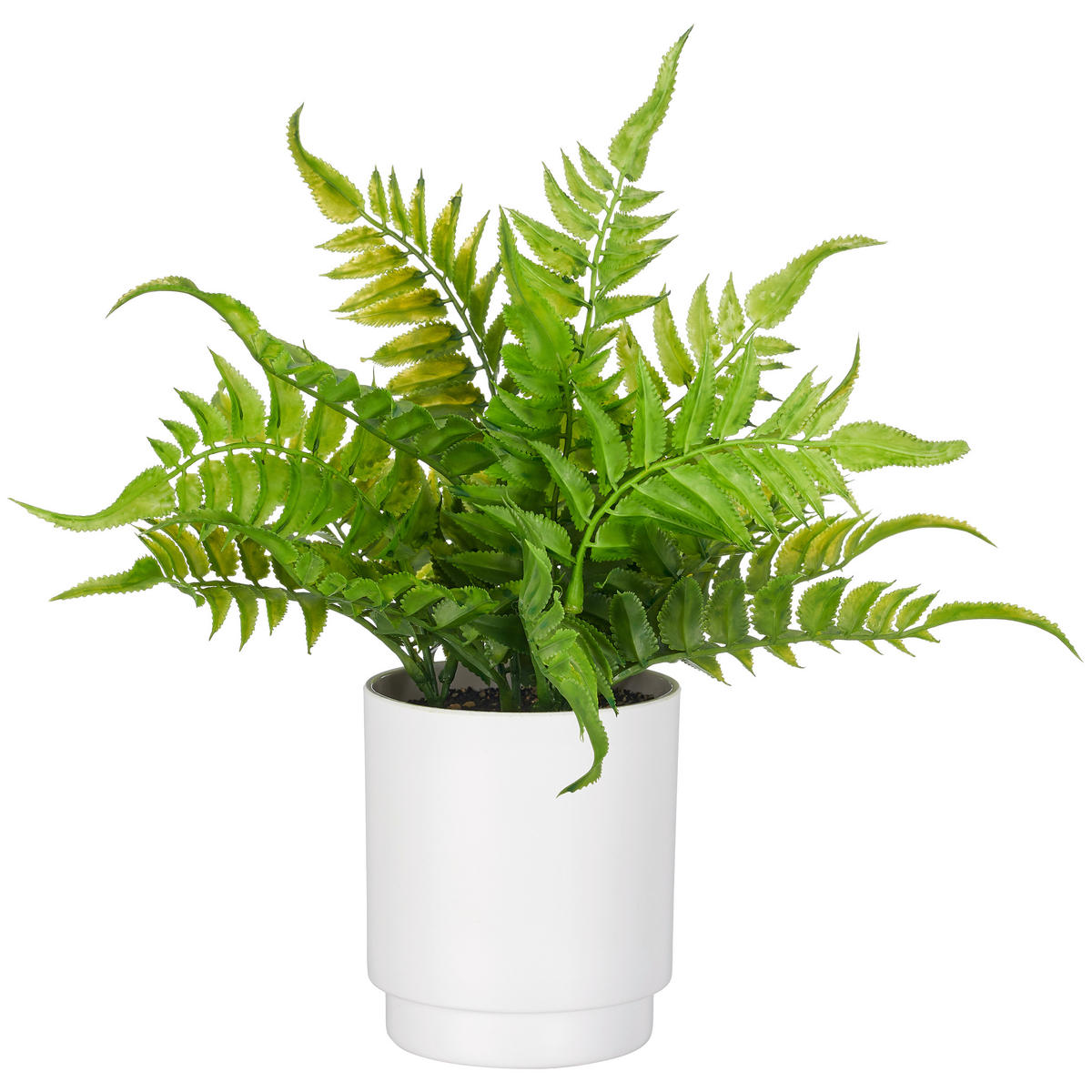 KUNSTPFLANZE Farn 25 cm  - Weiß/Grün, Basics, Kunststoff (25cm)