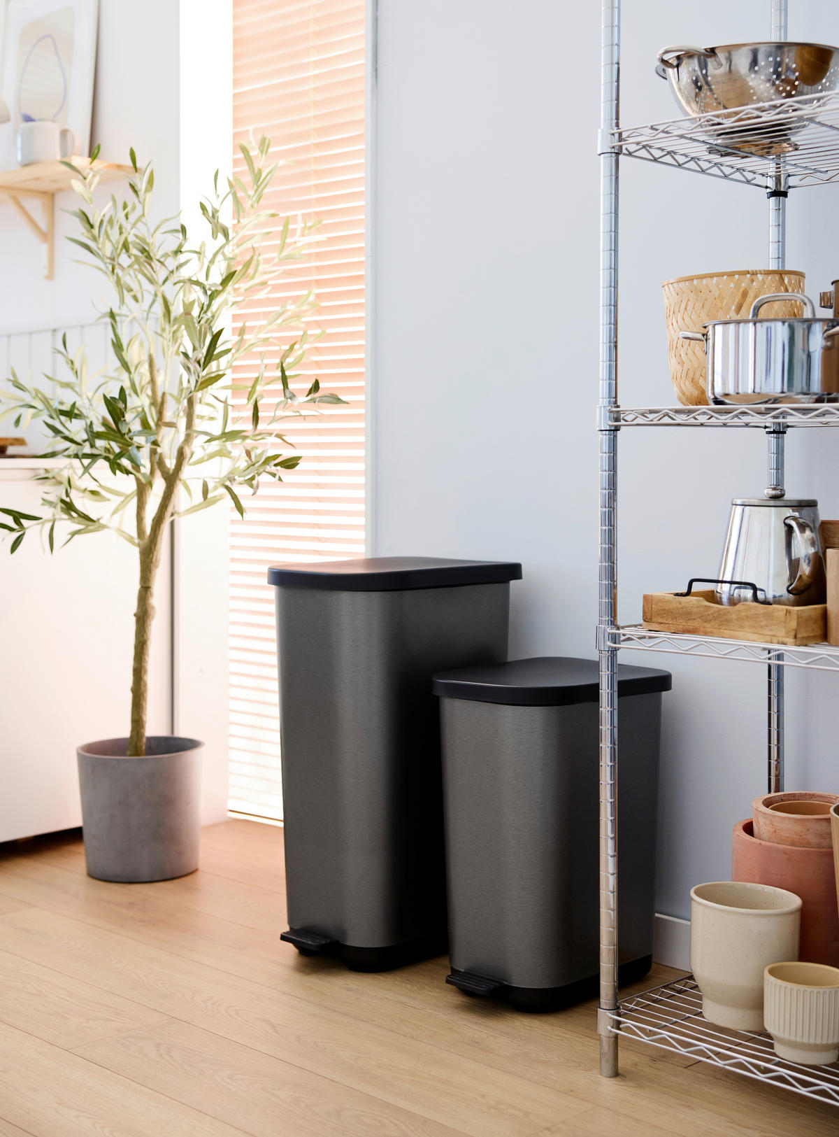 TRETEIMER Ribo 55 L  - Graphitfarben, KONVENTIONELL, Kunststoff (42.3/31.7/67.6cm) - Rotho