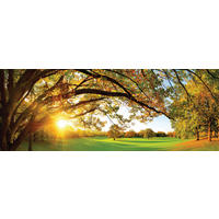 GLASBILD Landschaft & Natur 30/80 cm  - Multicolor, Natur, Glas (30/80cm) - Euroart