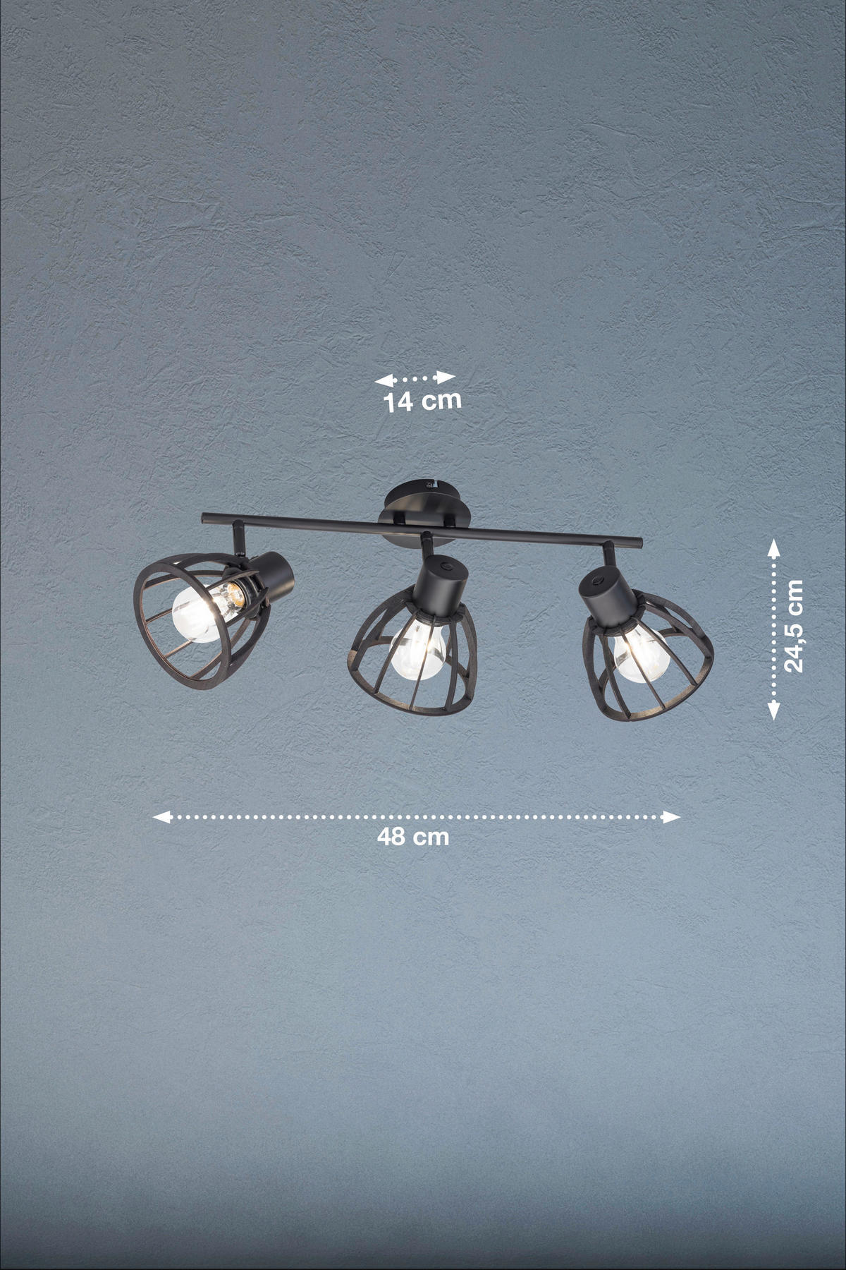DECKENLEUCHTE     - Schwarz, Basics, Metall (14/79cm) - Fischer & Honsel