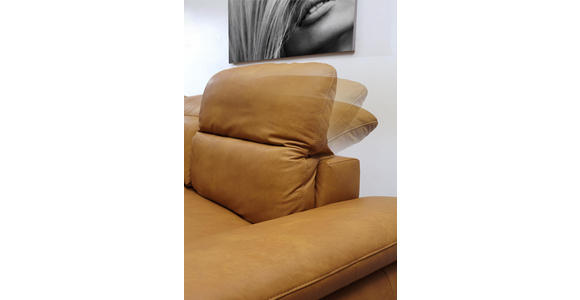 WOHNLANDSCHAFT in Leder Braun - Schwarz/Braun, Natur, Leder/Metall (288/182cm) - Valnatura