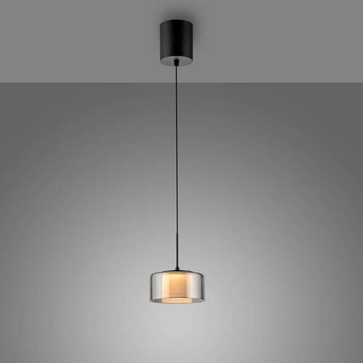 ZÁVĚSNÉ LED SVÍTIDLO, 15/220 cm  - černá, Design, kov/plast (15/220cm)