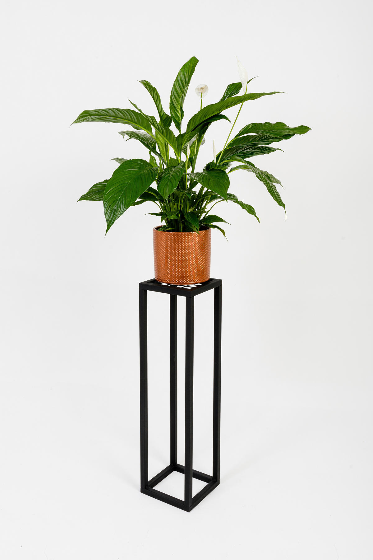 BLUMENSTÄNDER in Metall  - Schwarz, Basics, Metall (19/75/19cm)