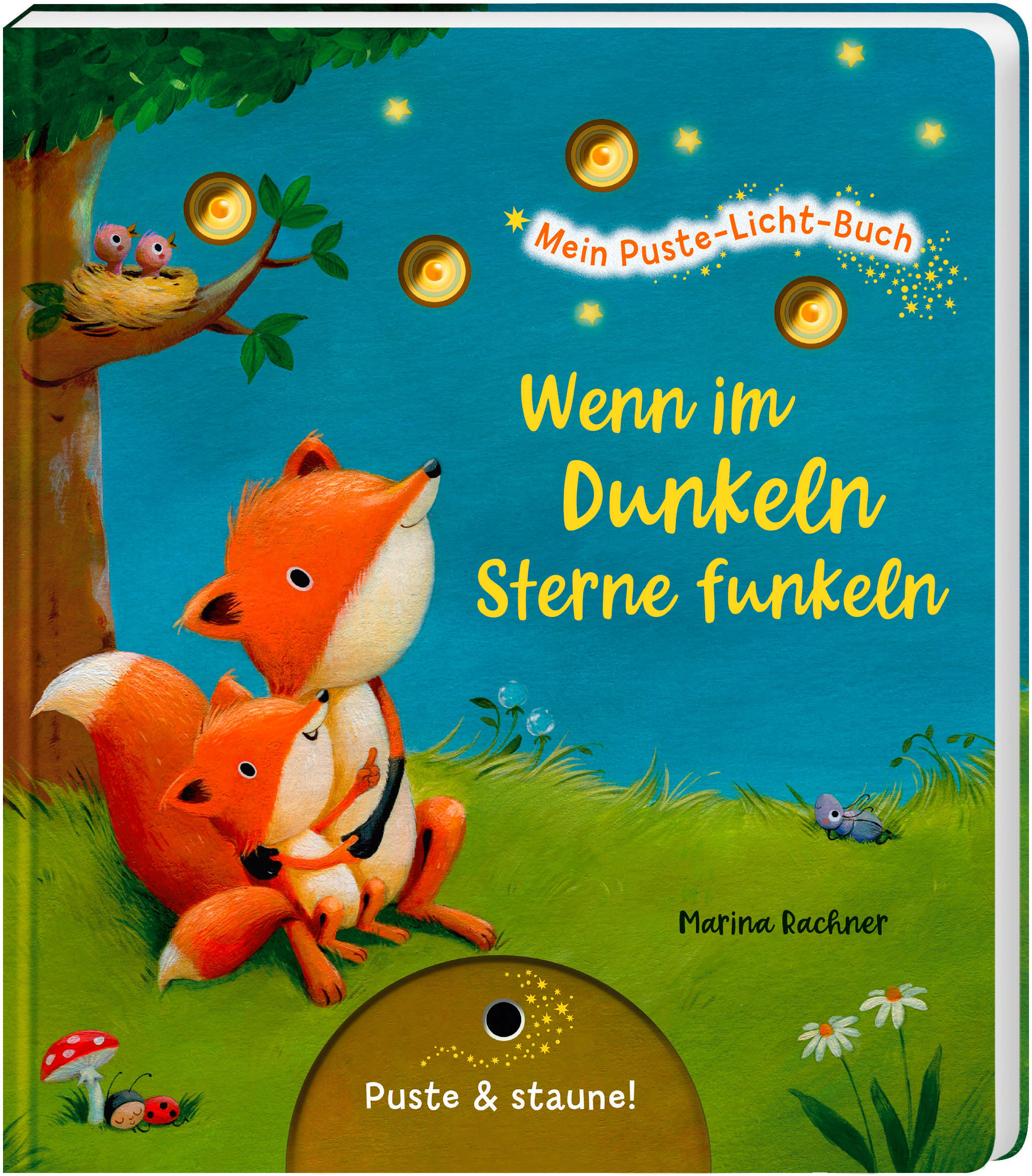 BILDERBUCH - Basics (19,2/1,6/22,0cm)