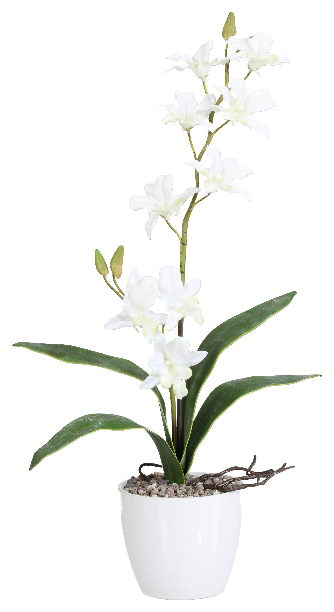 KUNSTPFLANZE Orchidee 60 cm  - Weiß/Grün, Design, Keramik/Kunststoff (60cm) - P & B