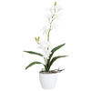 KUNSTPFLANZE Orchidee 60 cm  - Weiß/Grün, Design, Keramik/Kunststoff (60cm) - P & B