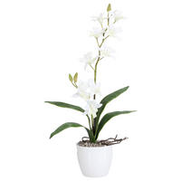 KUNSTPFLANZE Orchidee 60 cm  - Weiß/Grün, Design, Keramik/Kunststoff (60cm) - P & B