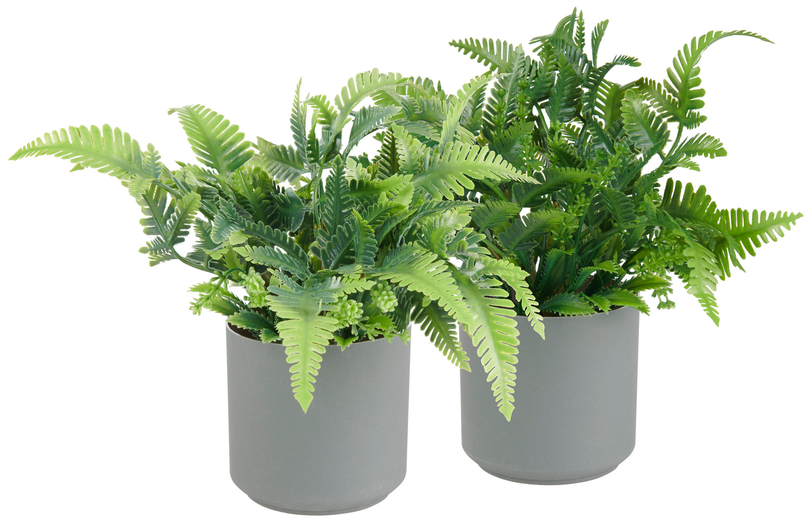KONSTVÄXT 25 cm  - grön/grå, Basics, plast (25cm)