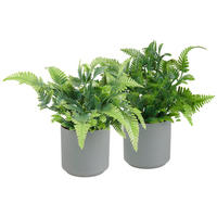 KONSTVÄXT 25 cm  - grön/grå, Basics, plast (25cm)