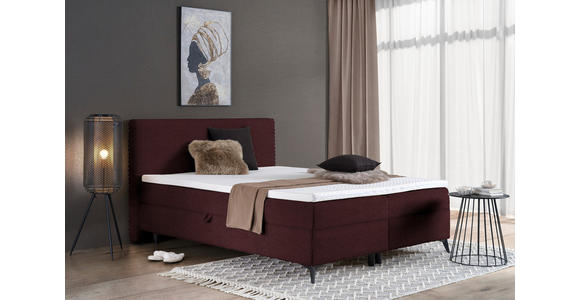 BOXBETT 160/200 cm in Beere - Beere/Schwarz, Design, Holz/Holzwerkstoff (160/200cm) - Xora