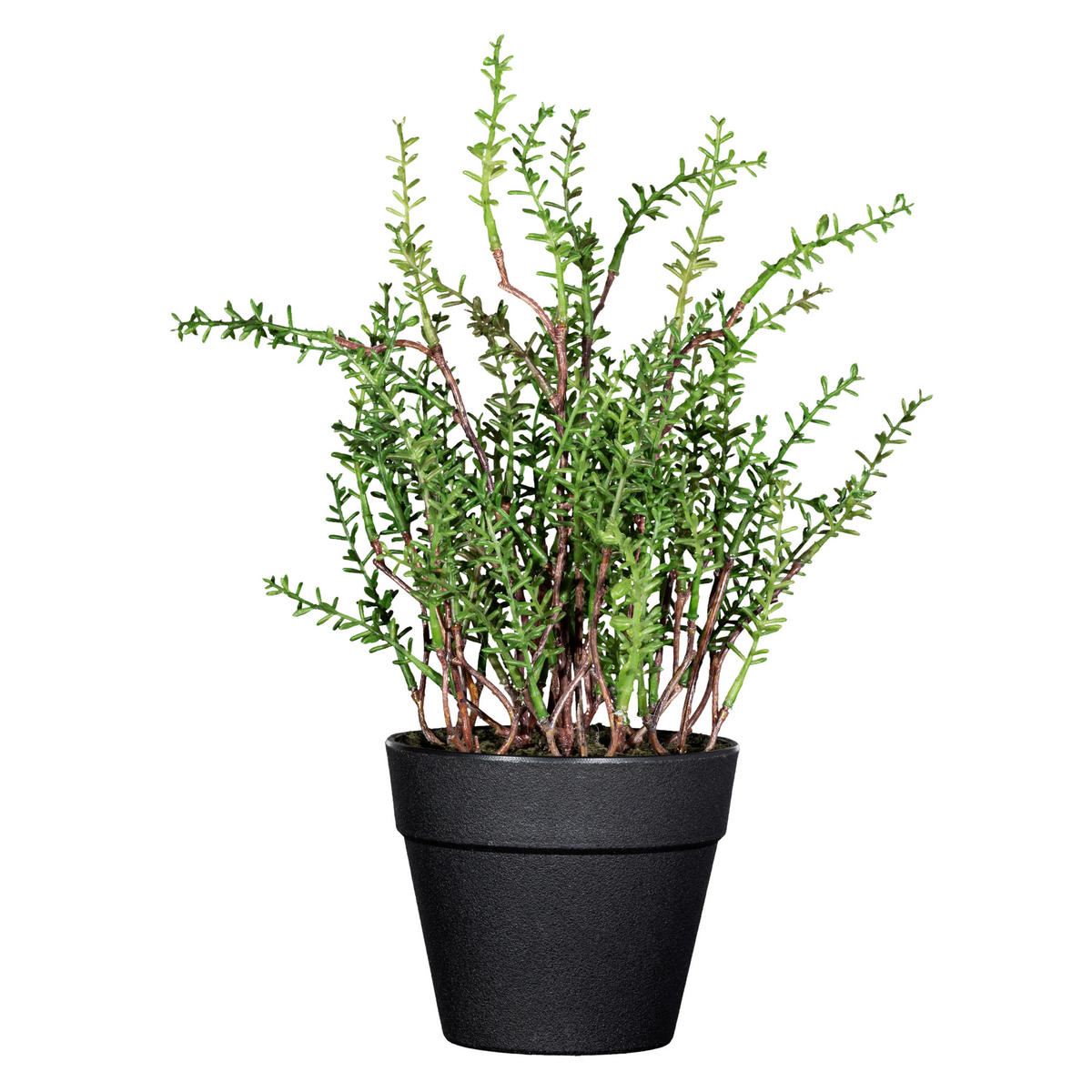 KUNSTPFLANZE Kräuter 24 cm  - Schwarz/Braun, Design, Kunststoff (24cm) - P & B