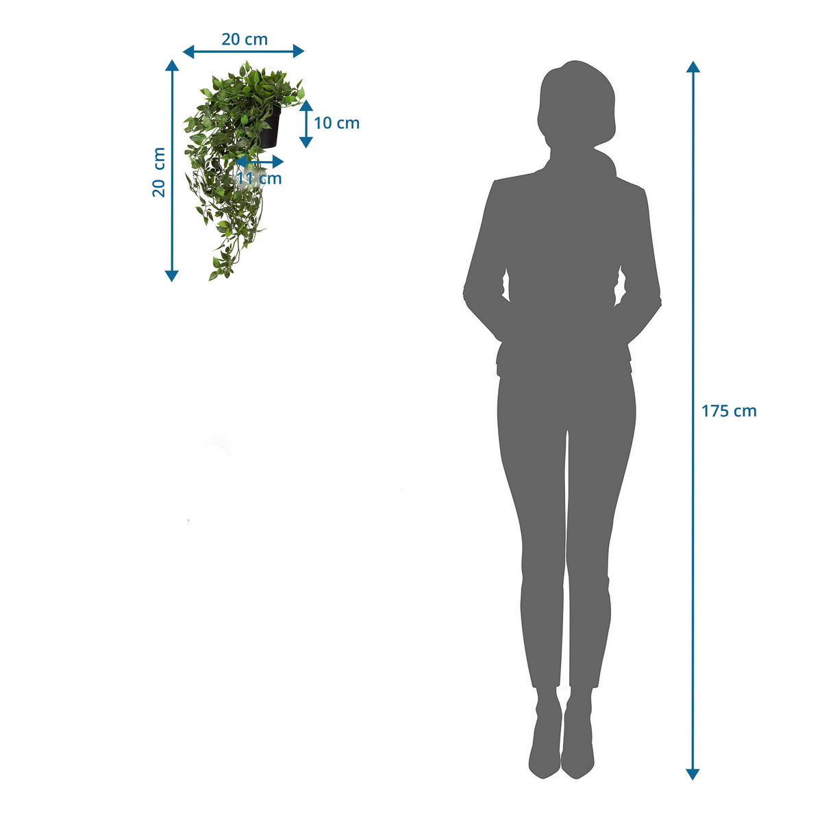 KUNSTPFLANZE Efeutute  - Schwarz/Grasgrün, MODERN, Kunststoff (20/20/50cm) - MID.YOU