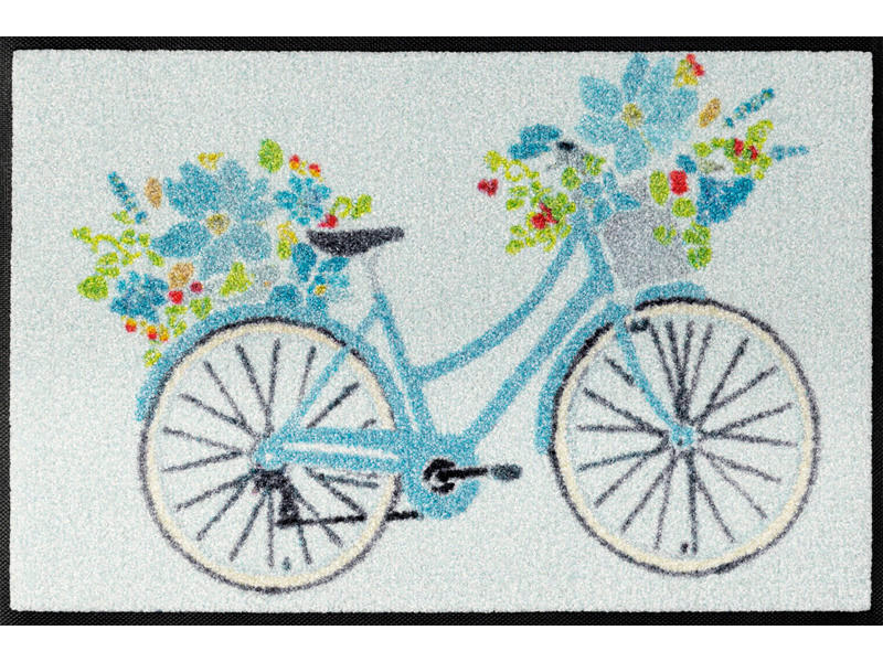 FUßMATTE  40/60 cm  Multicolor  - Multicolor, Trend, Kunststoff/Textil (40/60cm) - wash+dry