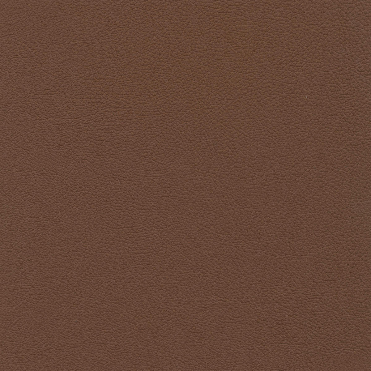 3-SITZER-SOFA in Leder Cognac  - Cognac, Design, Leder/Metall (215/90/109cm)
