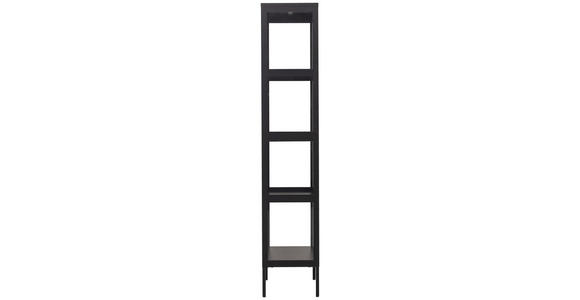 VITRINE in Schwarz - Schwarz, Design, Glas/Metall (50/180/35cm) - Xora