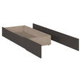 BETTKASTEN 59/22/59 cm Graphitfarben  - Graphitfarben, KONVENTIONELL, Holzwerkstoff/Kunststoff (59/22/59cm) - Xora