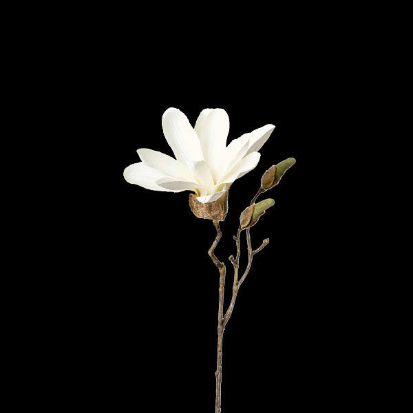 MAGNÓLIA - pink, Basics (25.5cm)