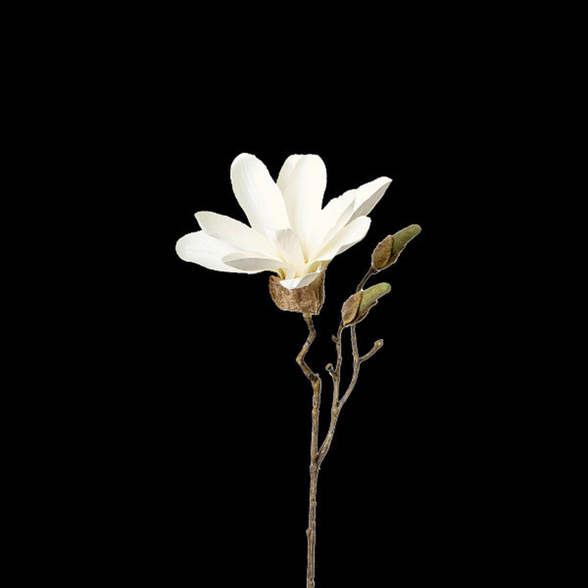 MAGNÓLIA - pink, Basics (25.5cm)