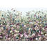 VLIESTAPETE - Multicolor, Papier (368/248/cmcm) VLIESTAPETE - Multicolor, Papier (368/248/cmcm)