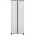 GARDEROBENSCHRANK  in 70/193/37 cm  - Eichefarben/Anthrazit, Design, Glas/Holzwerkstoff (70/193/37cm) - Dieter Knoll