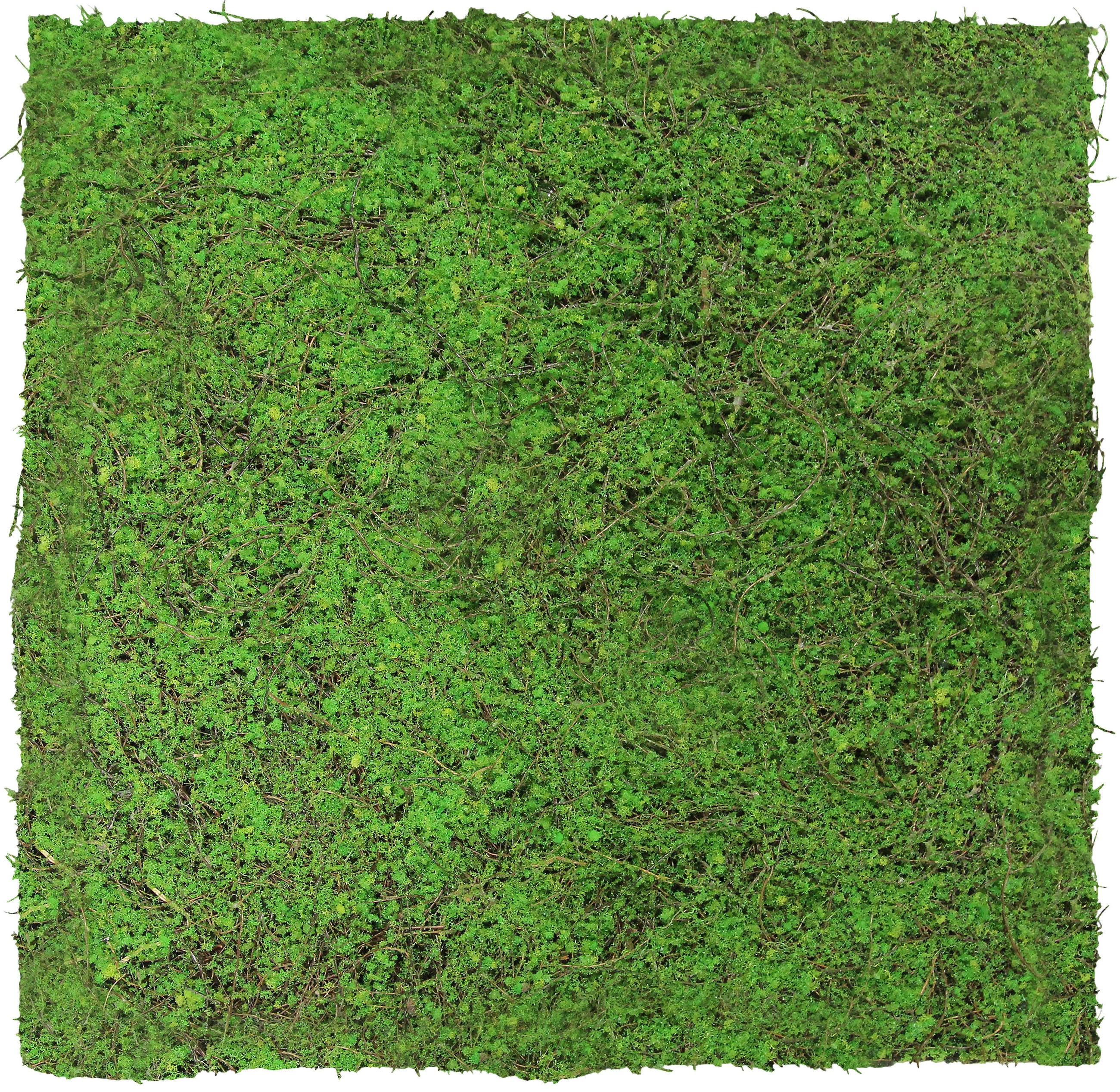 AKUSTIKPANEEL Modular Wall System Design Flora 52/52/2 cm  - Hellgrün, MODERN, Kunststoff (52/52/2cm) - Jangal