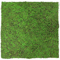 AKUSTIKPANEEL Modular Wall System Design Flora 52/52/2 cm  - Hellgrün, MODERN, Kunststoff (52/52/2cm) - Jangal