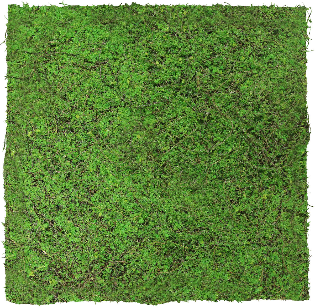 AKUSTIKPANEEL Modular Wall System Design Flora 52/52/2 cm  - Hellgrün, MODERN, Kunststoff (52/52/2cm) - Jangal