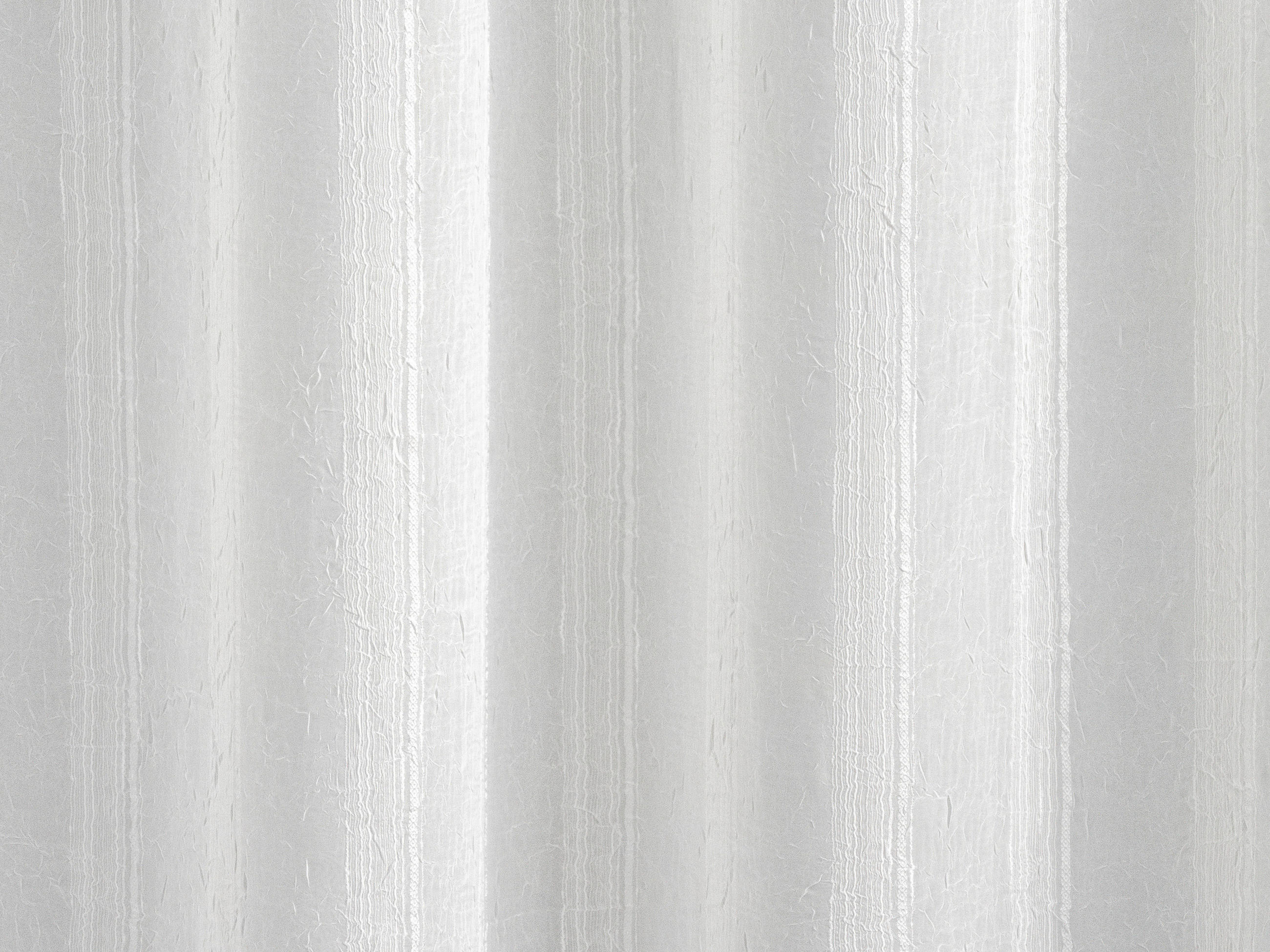 TKANINA ZA ZAVJESE boje šampanjca   - boje šampanjca, Basics, tekstil (270cm)