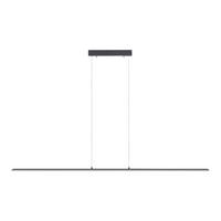 LED-HÄNGELEUCHTE 160/6/120 cm  - Anthrazit, Basics, Kunststoff/Metall (160/6/120cm) - Neuhaus PURE
