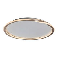 LED PLAFONJERA MATHIOLA  - bela/zlatna, Osnovno, metal/plastika (56/6cm)