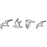 METALLBILD  - Schwarz, Basics, Metall (100/24cm)