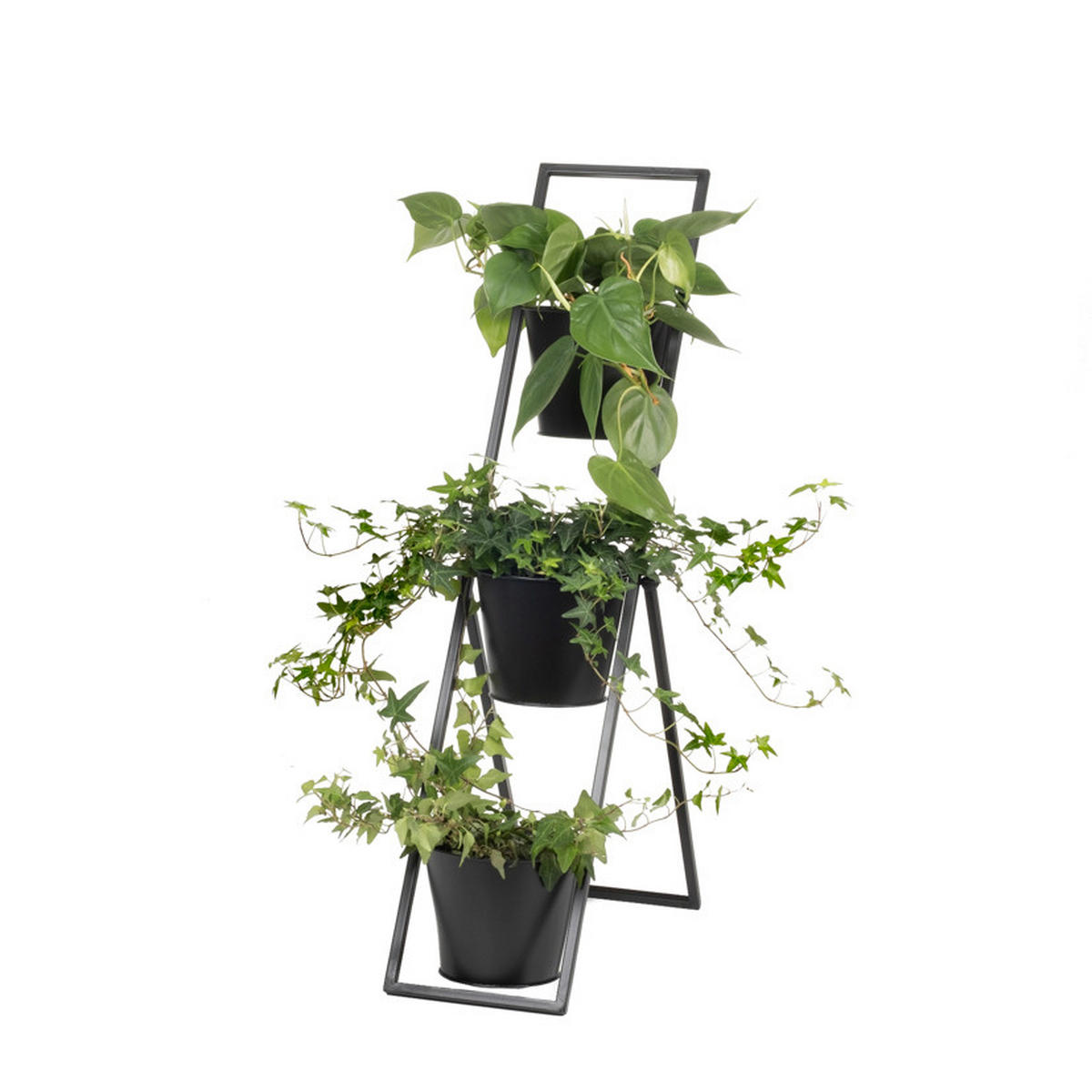 PFLANZTOPF   - Schwarz, Basics, Metall (20,5/35,5/73,6cm)