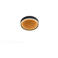 STROPNÍ LED SVÍTIDLO, 40/7 cm  - černá/barvy zlata, Design, kov/plast (40/7cm)