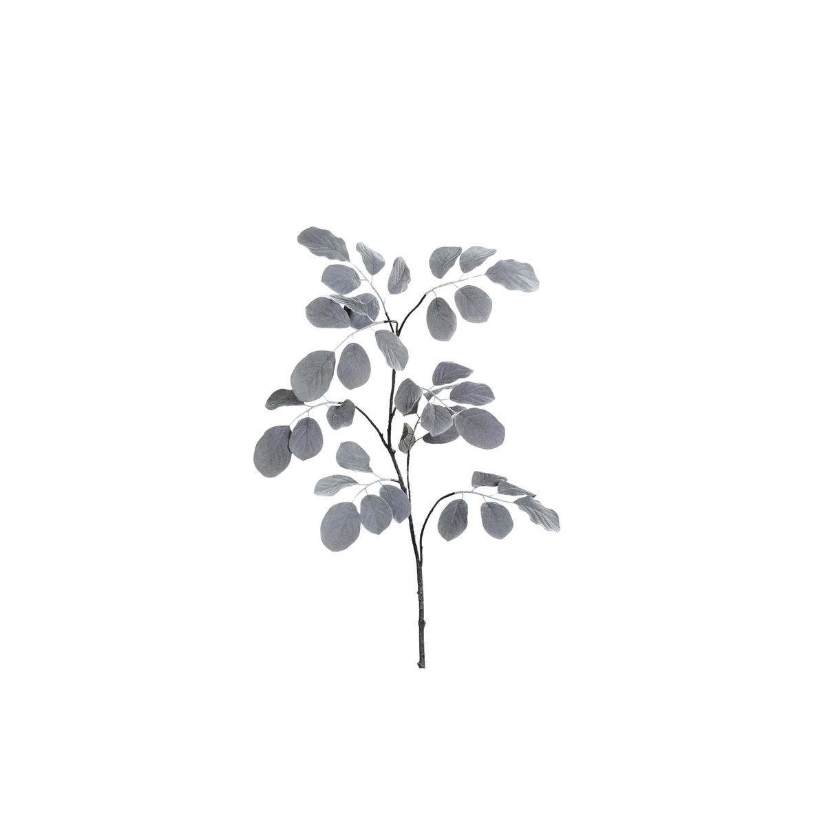 KUNSTPFLANZE 163 cm  - Schwarz, Basics, Kunststoff (163cm)