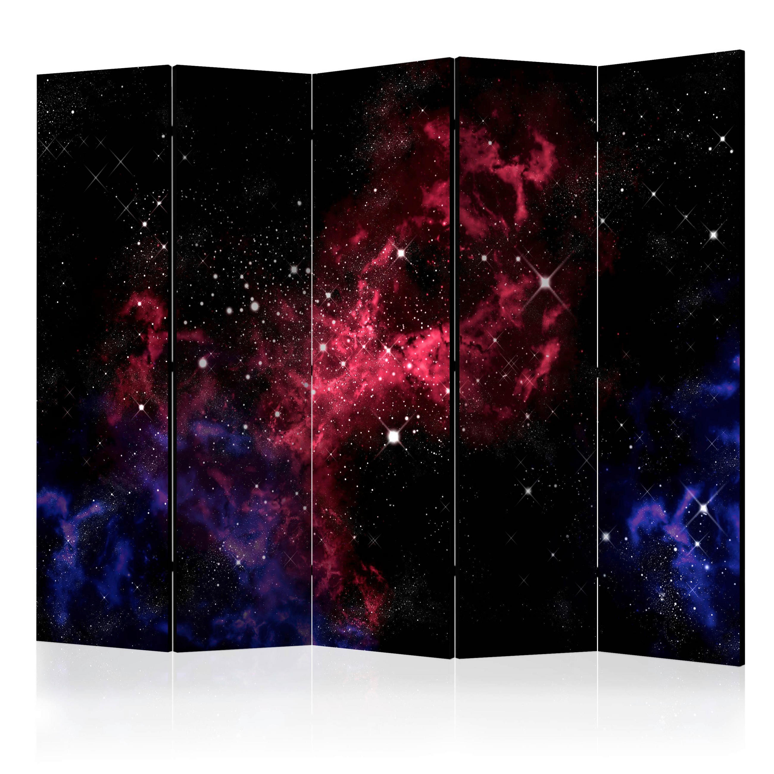 PARAVENT mit 5  Flügel - Magenta/Schwarz, Basics, Holz/Textil (225/172/3cm) - artgeist