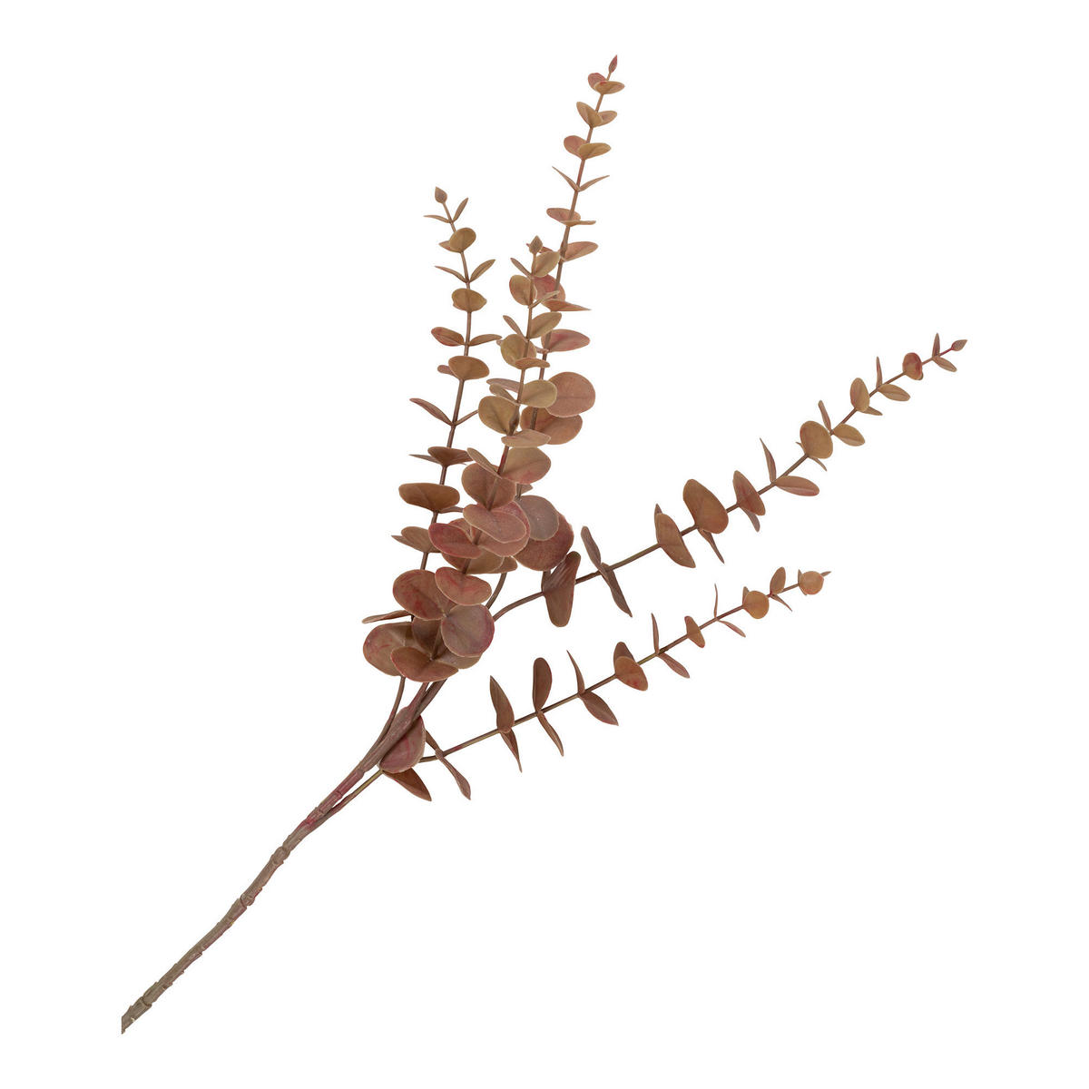 KUNSTBLUME Protea  - Bordeaux, Design