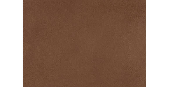 3-SITZER-SOFA in Leder Hellbraun - Hellbraun/Schwarz, Design, Leder/Metall (222/86/104cm) - Dieter Knoll