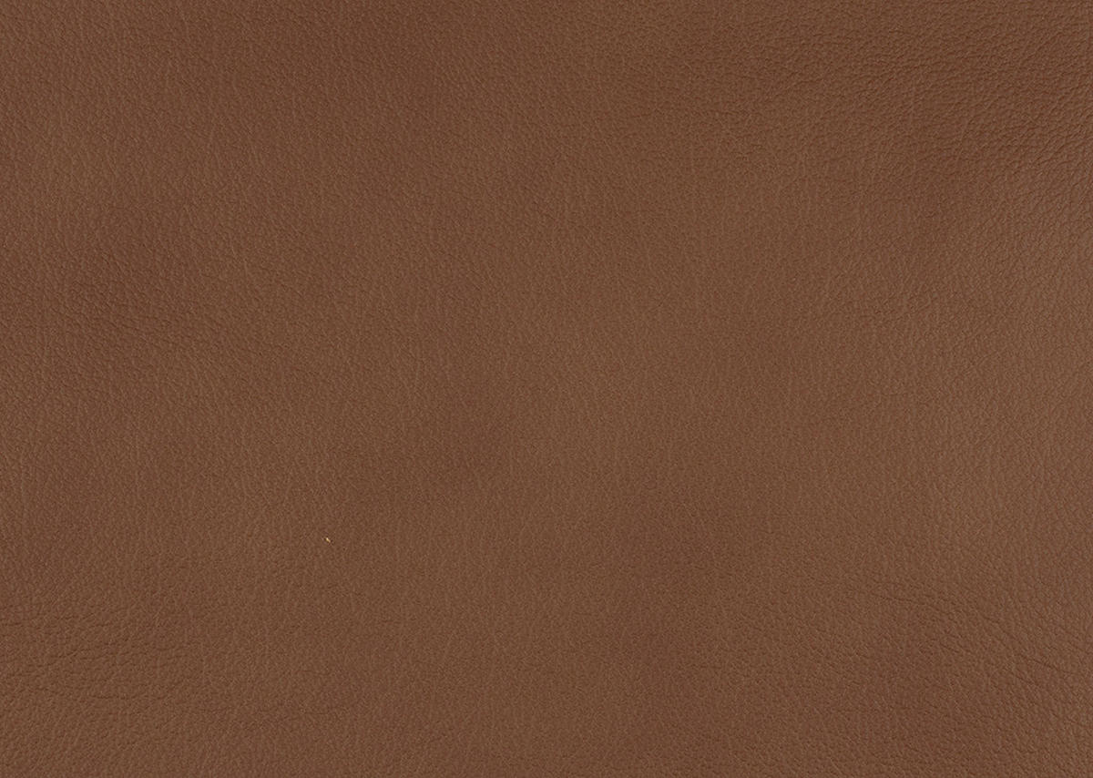 3-SITZER-SOFA in Echtleder Hellbraun  - Hellbraun/Schwarz, Design, Leder/Metall (222/86/104cm) - Dieter Knoll