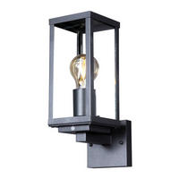 AUßENWANDLEUCHTE   - Klar/Anthrazit, Basics, Glas/Metall (37,0/16,0/11,0cm)