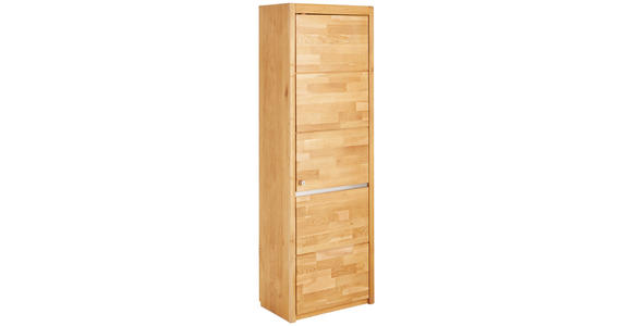AKTENSCHRANK 65/201/41 cm - Wildeiche/Edelstahlfarben, KONVENTIONELL, Holz/Holzwerkstoff (65/201/41cm) - Linea Natura