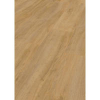 LAMINATBODEN Superior Advanced plus  - Eichefarben, KONVENTIONELL, Holz (138.0/24.4/0.8cm)