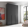 DREHTÜRENSCHRANK  in Graphitfarben  - Schwarz/Graphitfarben, MODERN, Holzwerkstoff/Kunststoff (135/225/52cm) - Carryhome