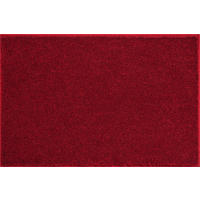 BADTEPPICH Rot 60/90 cm  - Rot, Basics, Kunststoff/Textil (60/90cm) - Grund