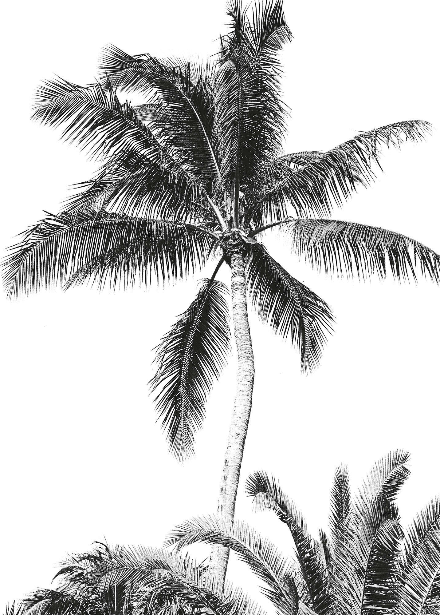 FOTOTAPET 200/280 cm  - vit/svart, Trend, papper (200/280cm)