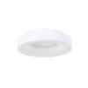 LED-DECKENLEUCHTE Ringlede 38/9 cm   - Weiß, Basics, Kunststoff/Metall (38/9cm)
