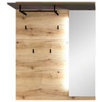 GARDEROBENPANEEL  in 120/149/30 cm  - Eichefarben/Graphitfarben, KONVENTIONELL, Holzwerkstoff (120/149/30cm) - Xora