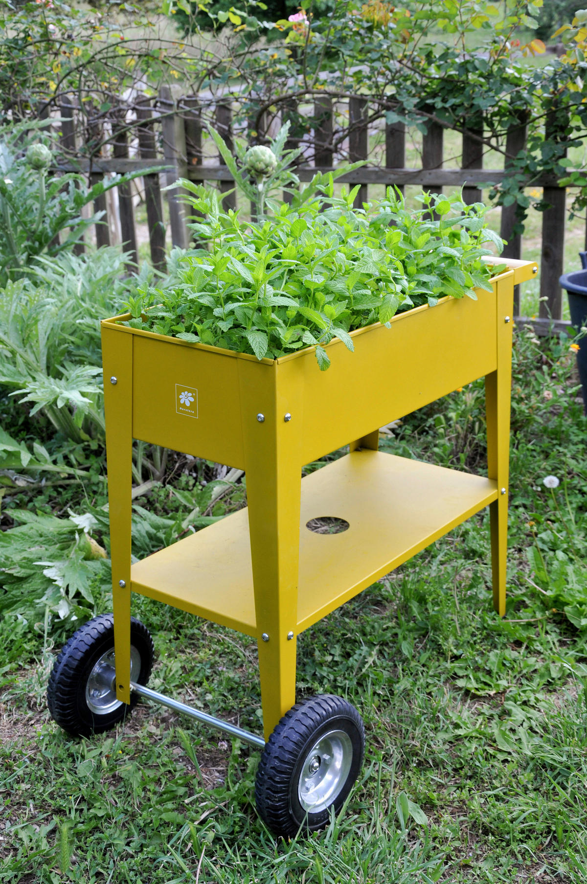 HOCHBEET  - Gelb, Basics, Metall (35/80/75cm) - Ambia Garden