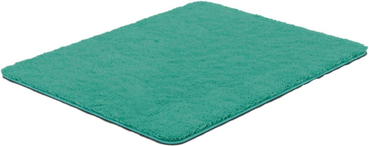 BIDET-VORLEGER Grün 50/60 cm  - Grün, Basics, Kunststoff/Textil (50/60cm) - Grund